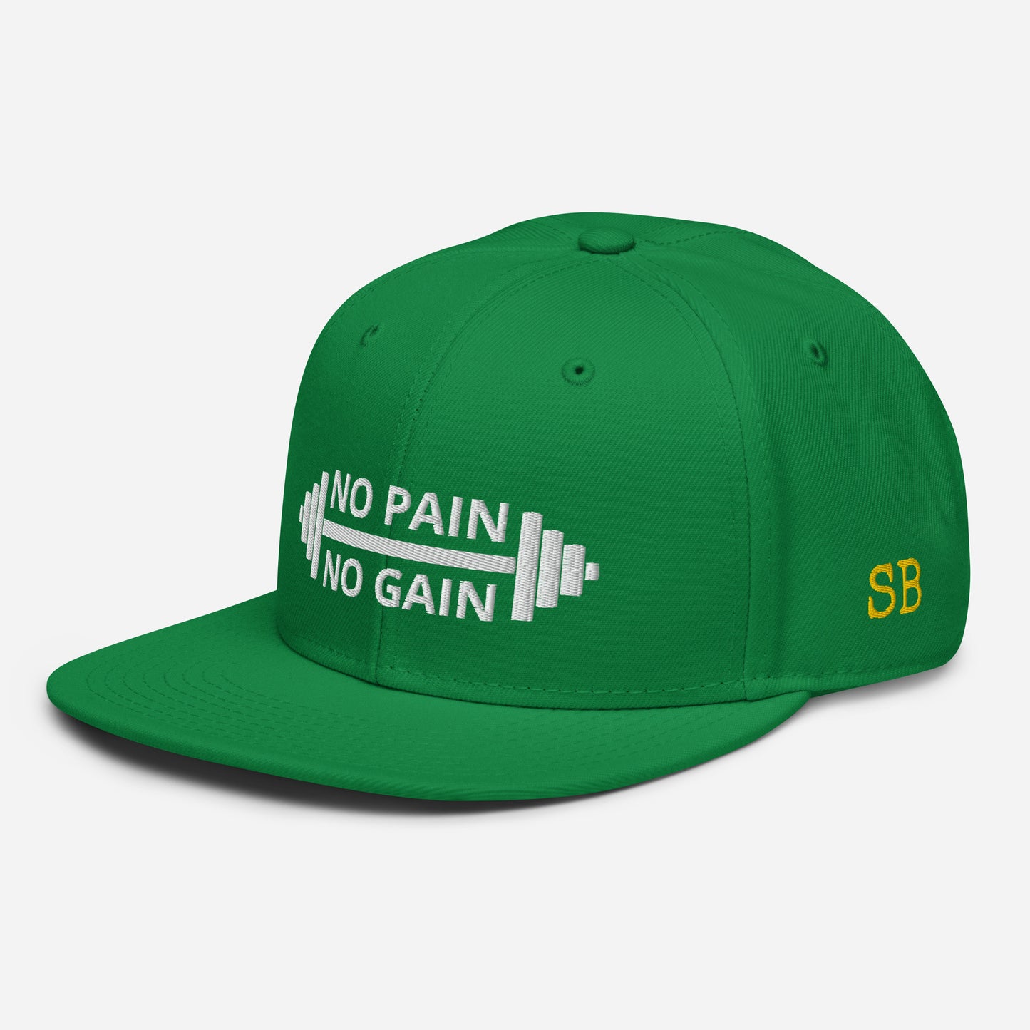 NO PAIN NO GAIN Snapback Hat